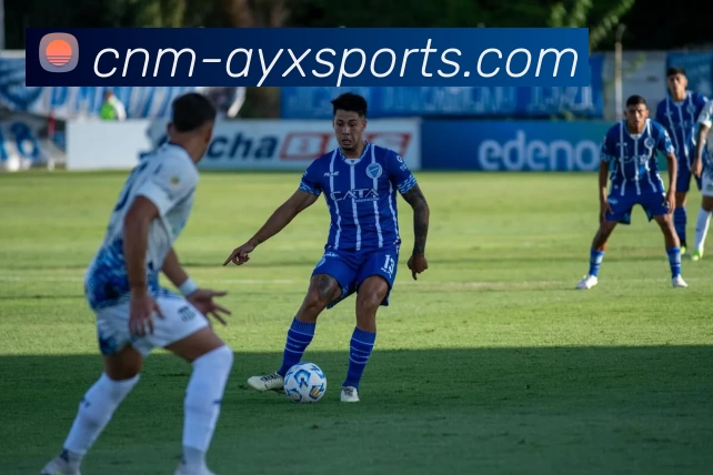 爱游戏平台生态图